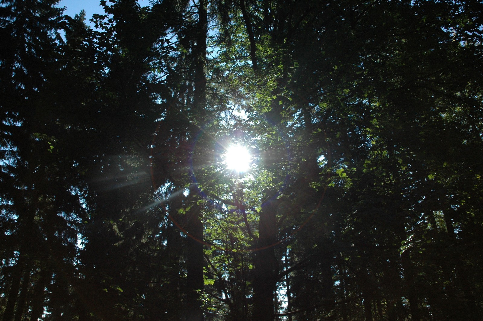 Photo from 2005-09-22T16:22:03