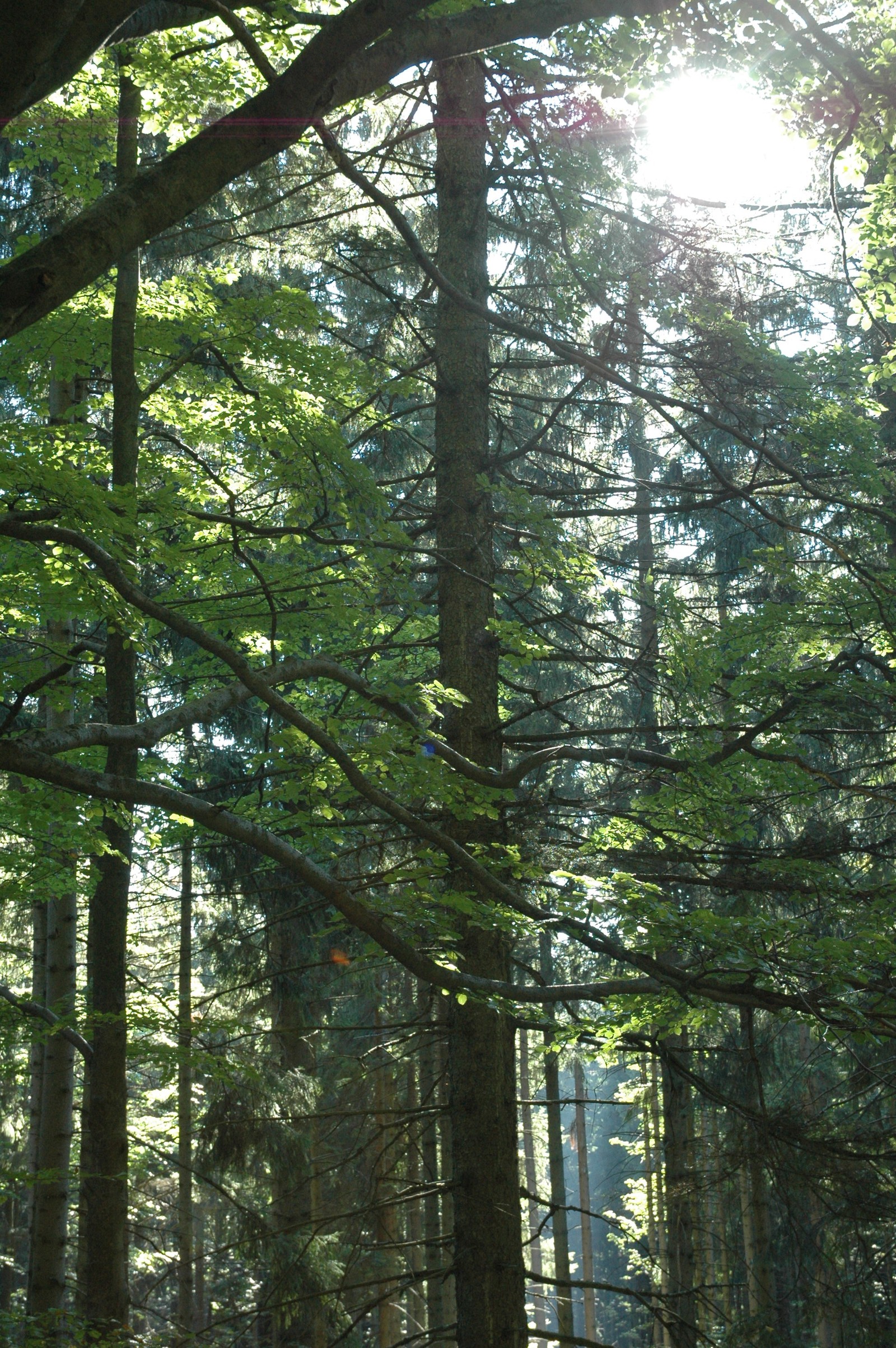 Photo from 2005-09-22T16:32:35.800000