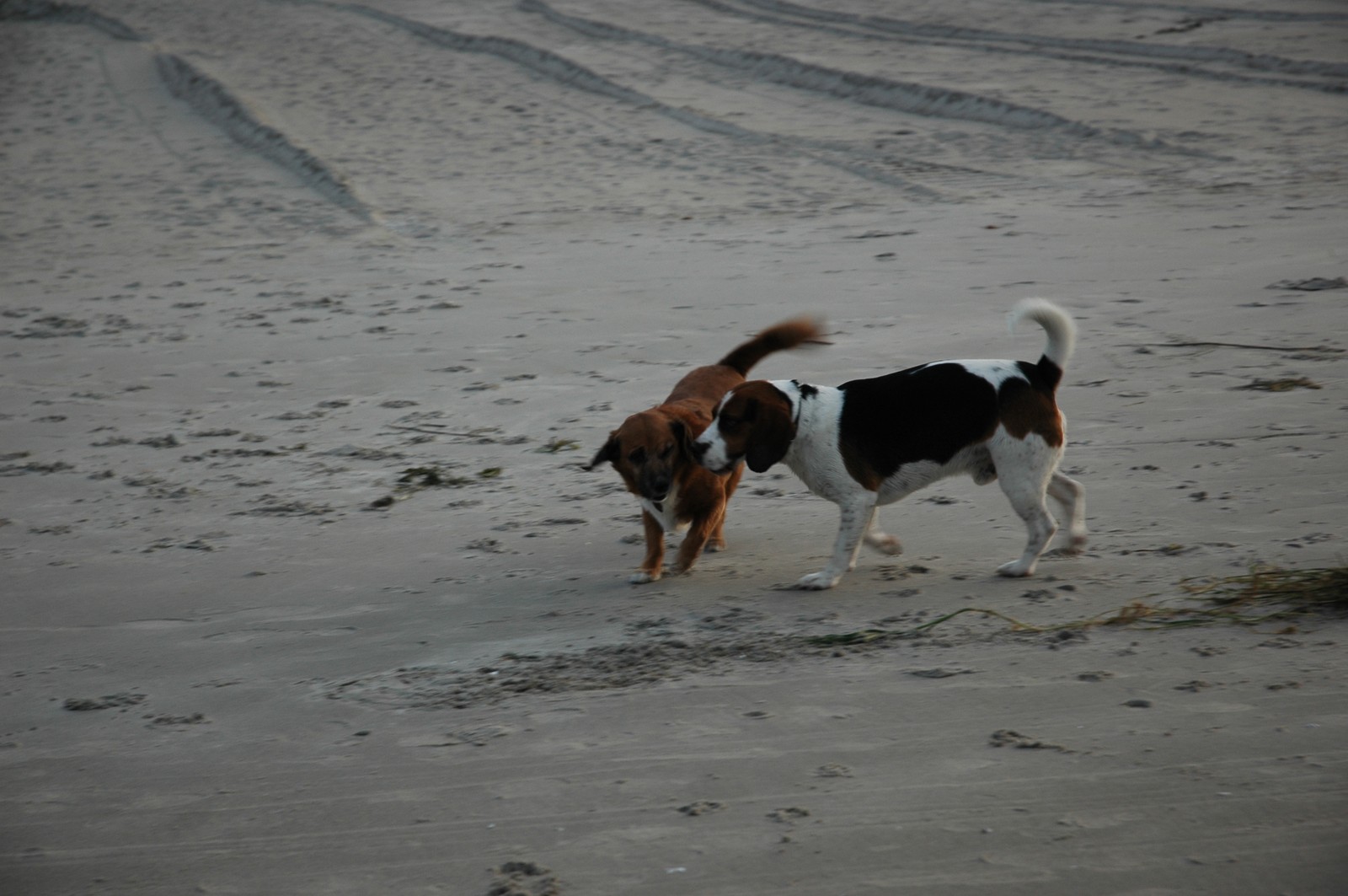 Photo from 2006-10-25T23:51:35.900000