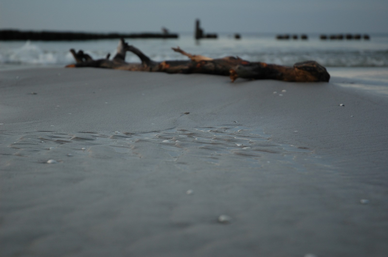 Photo from 2006-10-25T23:53:10.900000