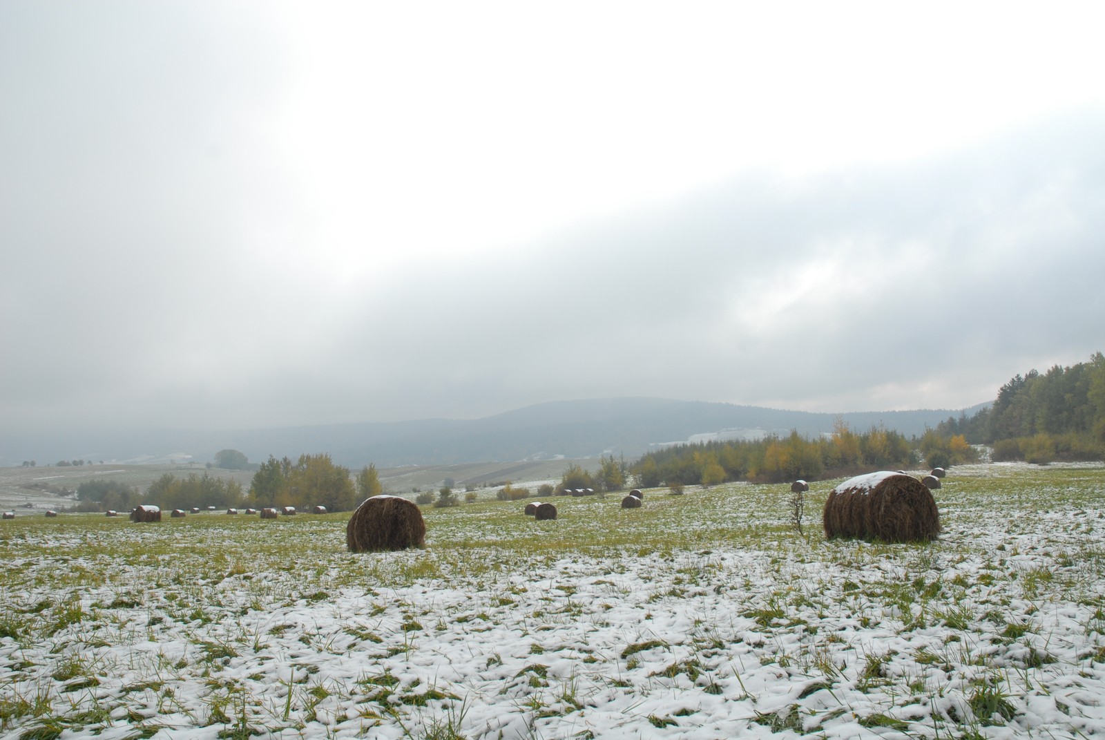 Photo from 2007-10-21T11:56:07.980000