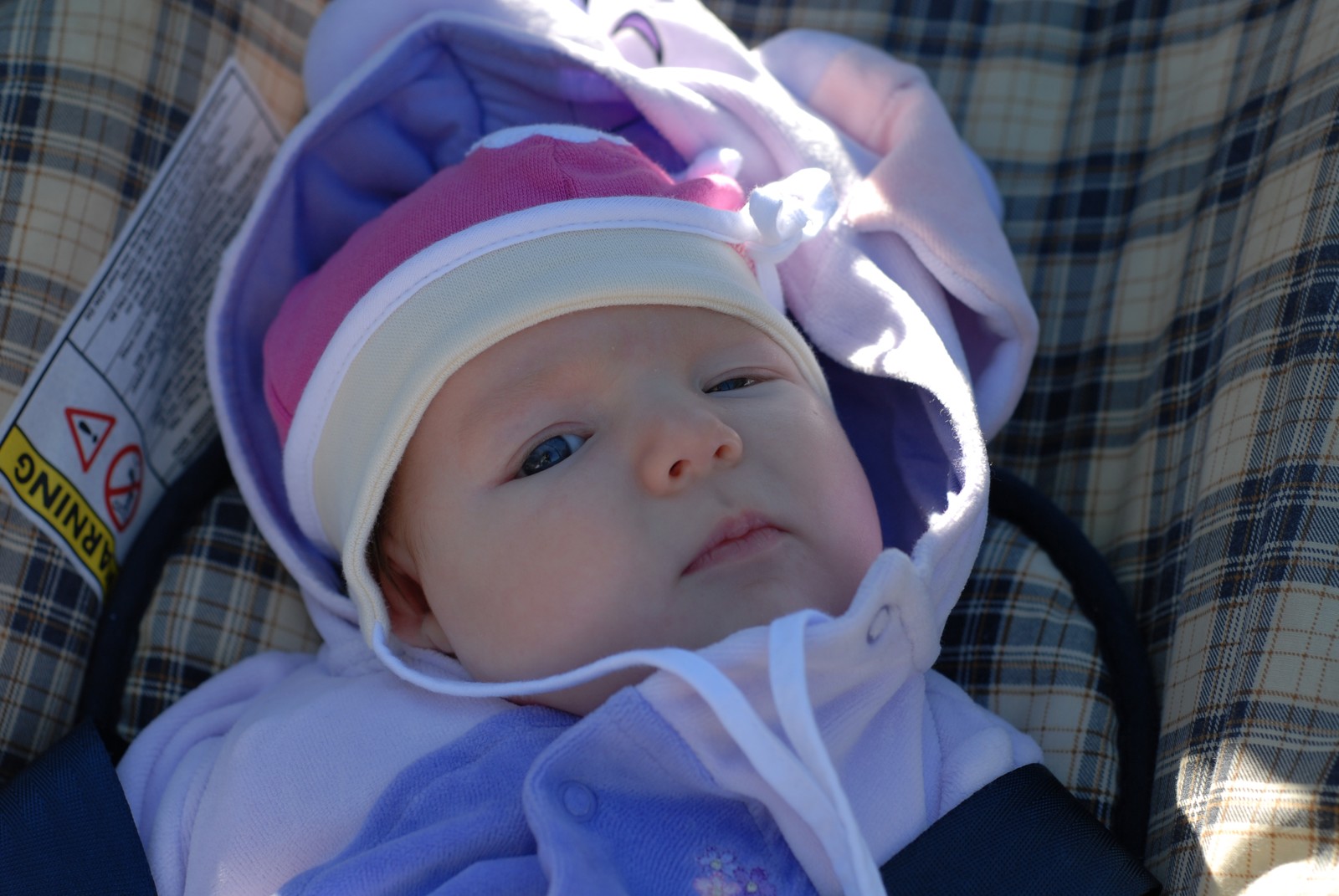 Photo from 2007-09-29T11:02:10.490000