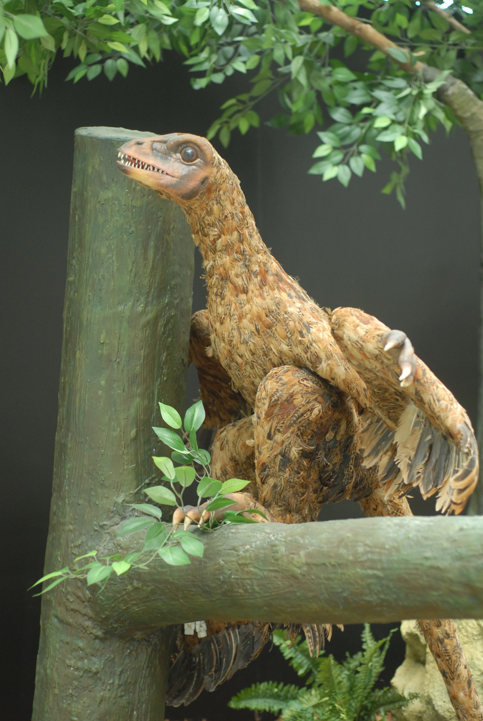 Photo from 2008-05-01T16:59:09.650000