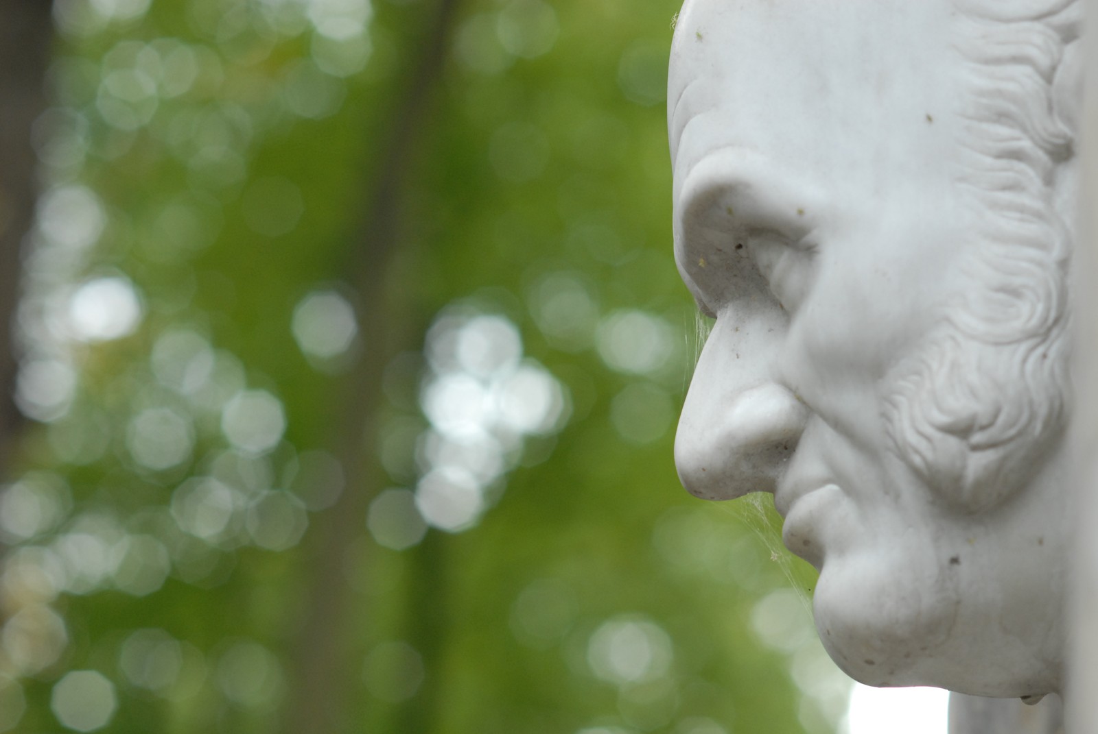 Photo from 2009-10-01T13:56:53.320000