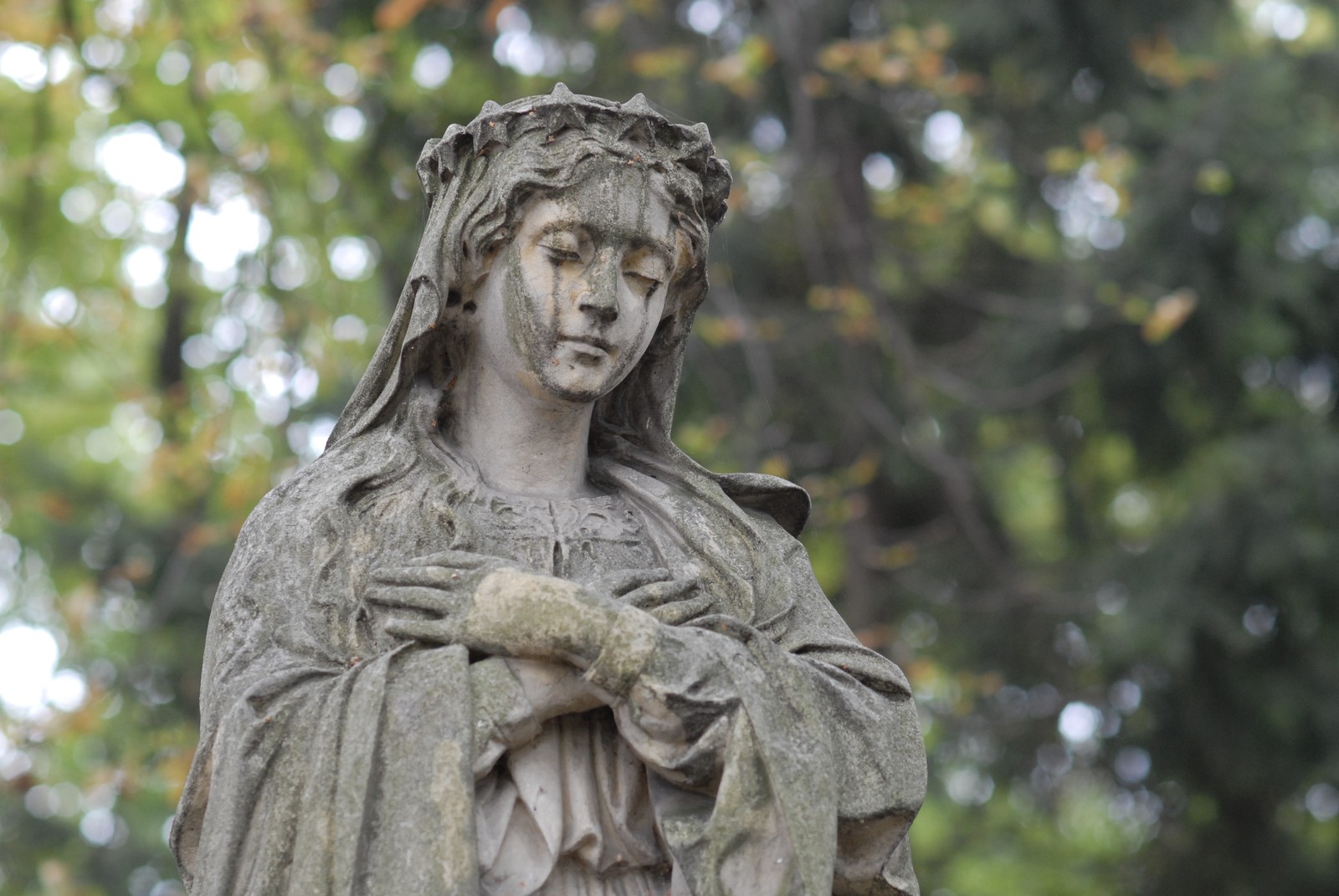 Photo from 2009-10-01T13:58:00.160000