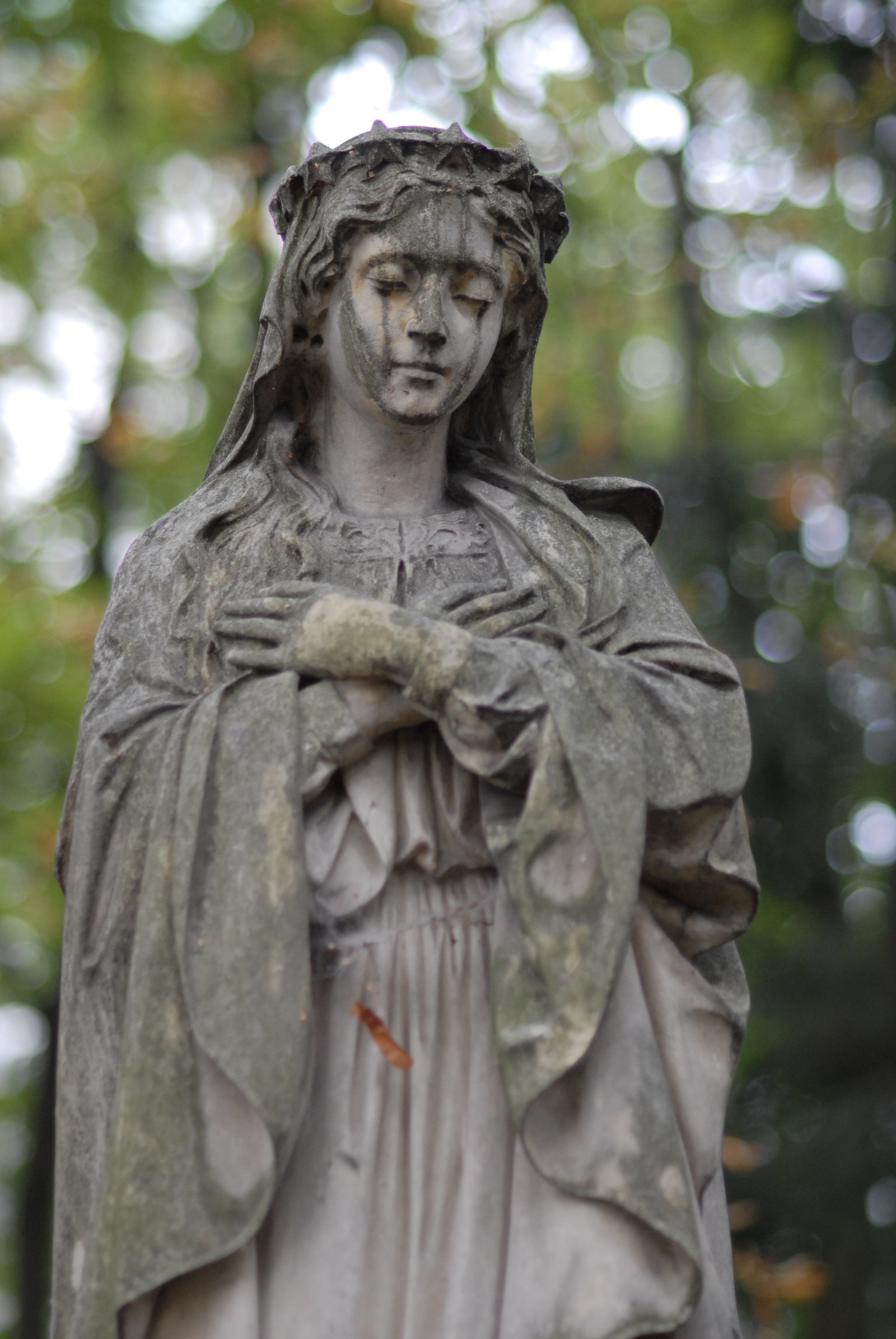 Photo from 2009-10-01T13:58:23.160000