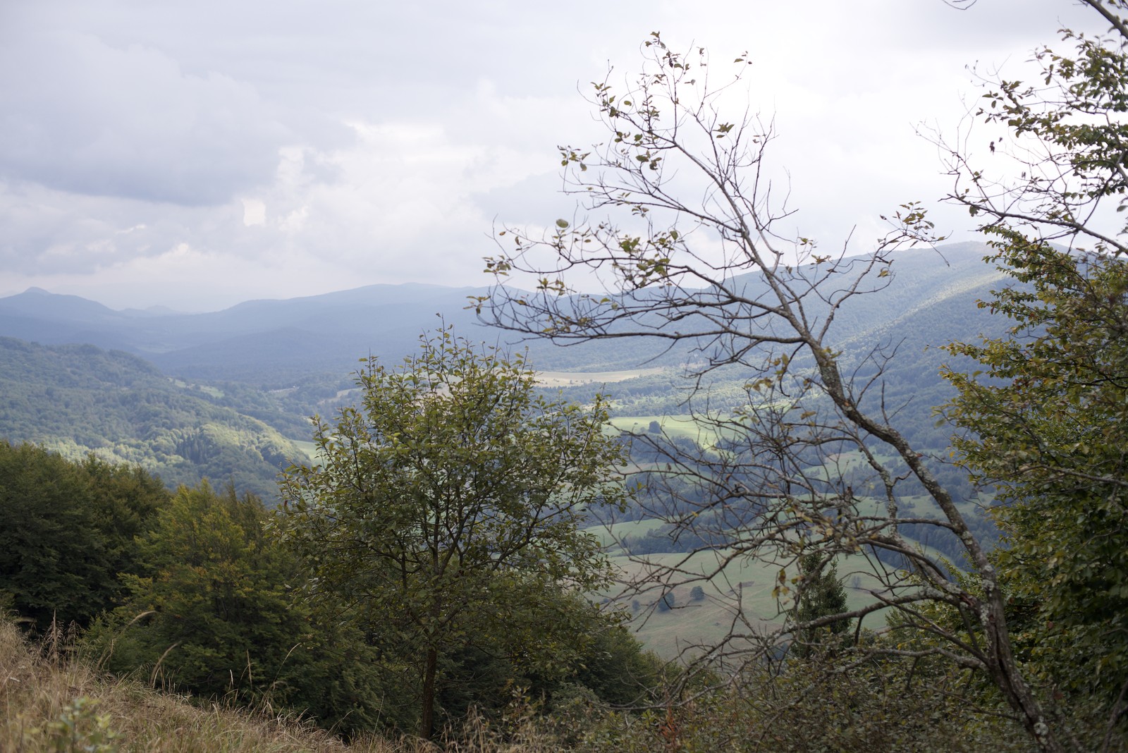 Photo from 2016-09-23T04:34:48.300000