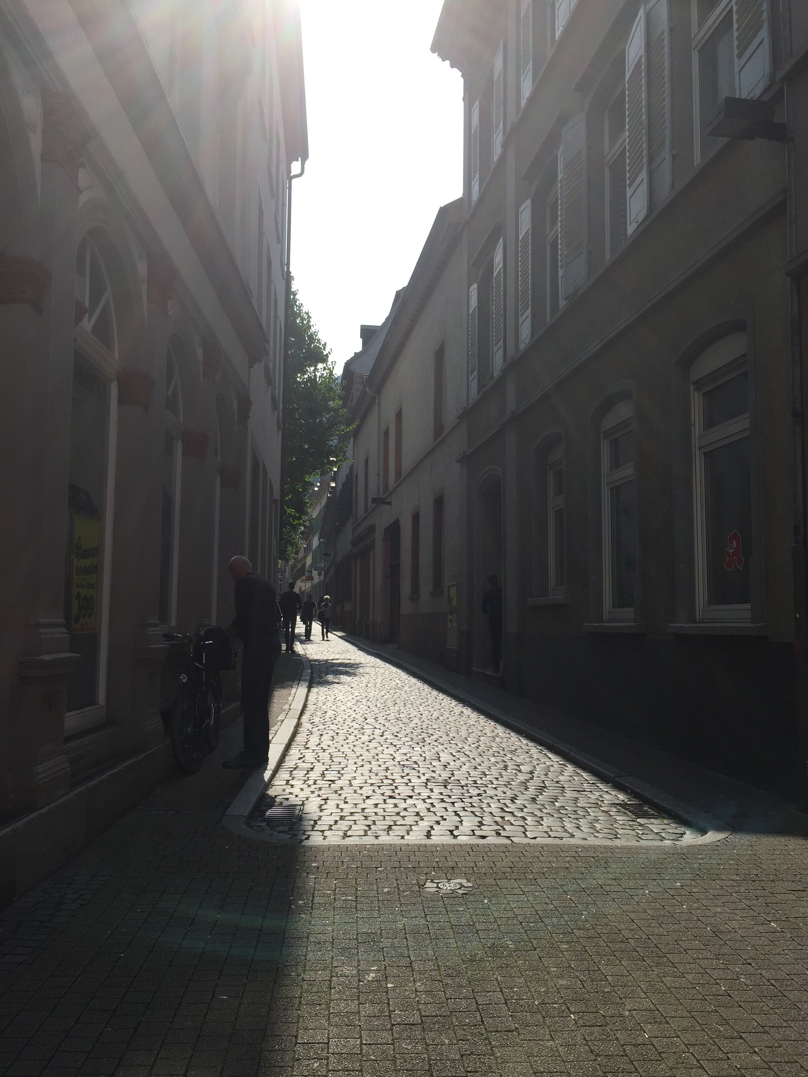 Photo from 2017-09-23T12:35:25.310000