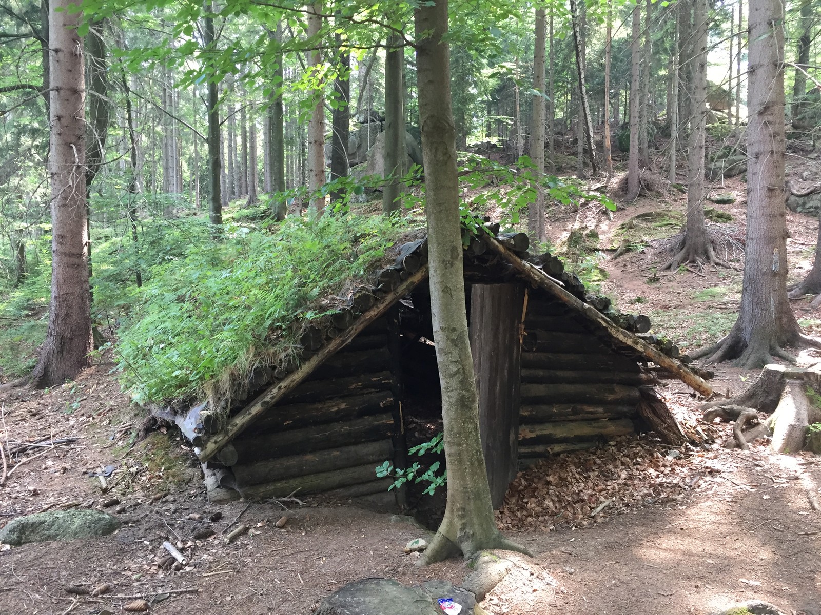 Photo from 2018-08-04T10:27:15.764000