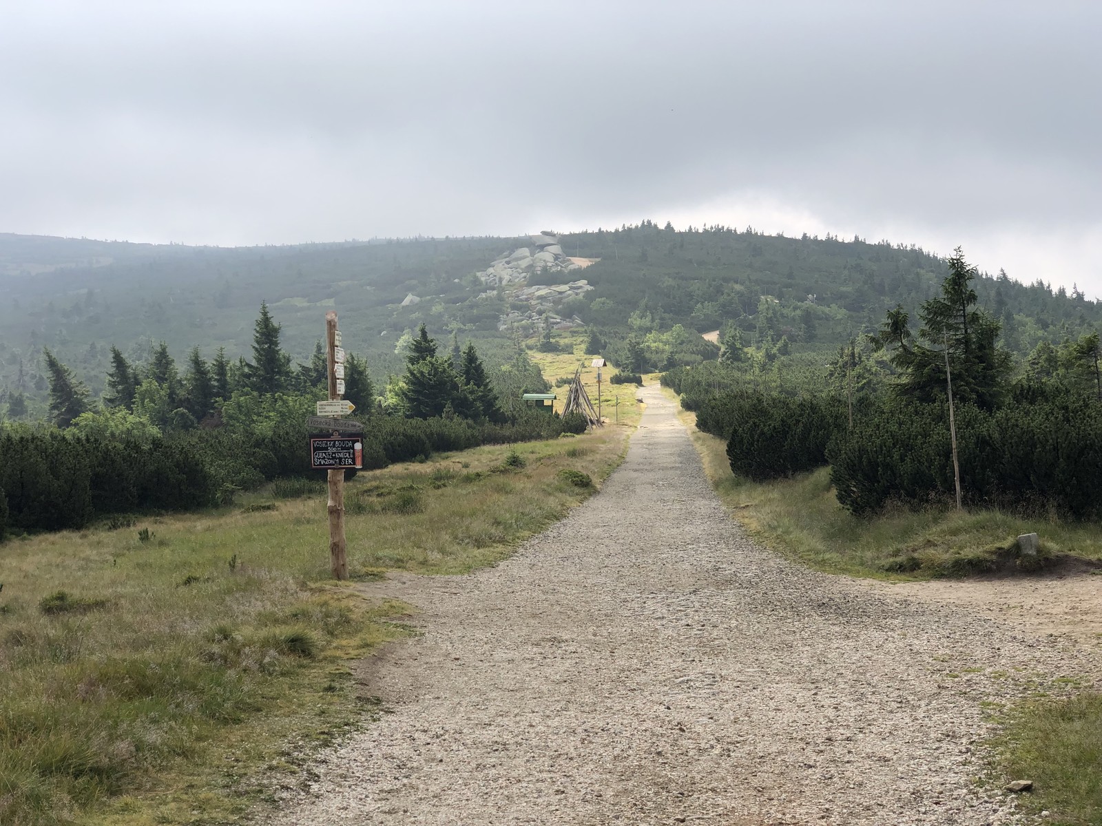 Photo from 2019-07-23T09:47:07.168000