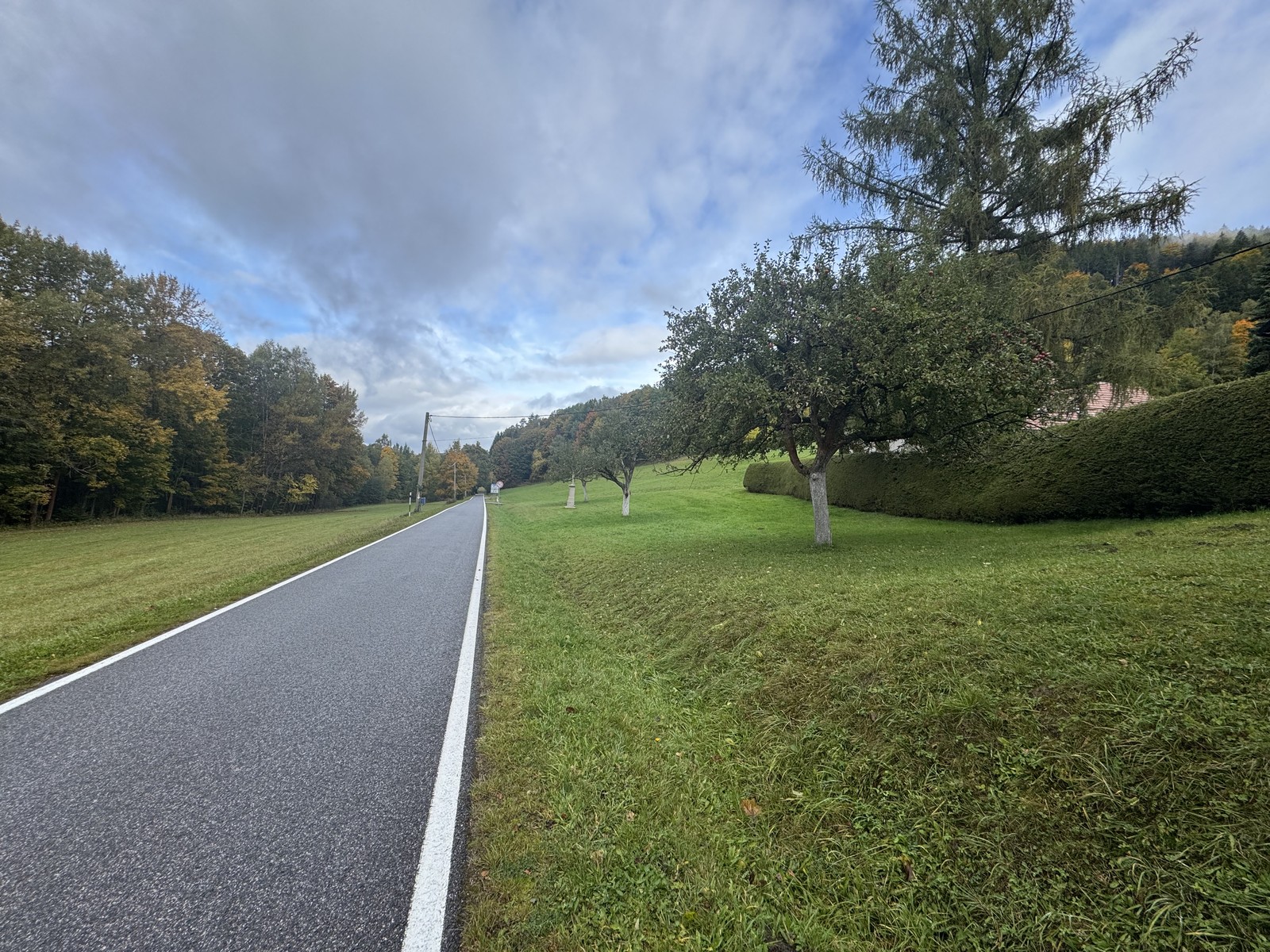 Photo from 2025-10-10T11:16:21.607000