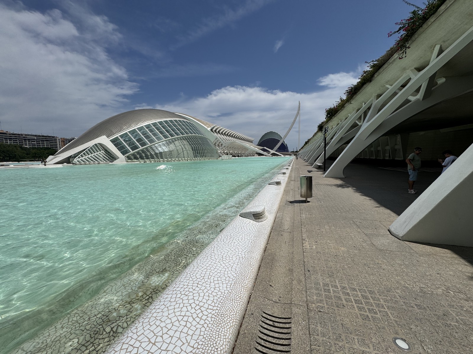 Photo from 2025-07-23T14:43:02.416000