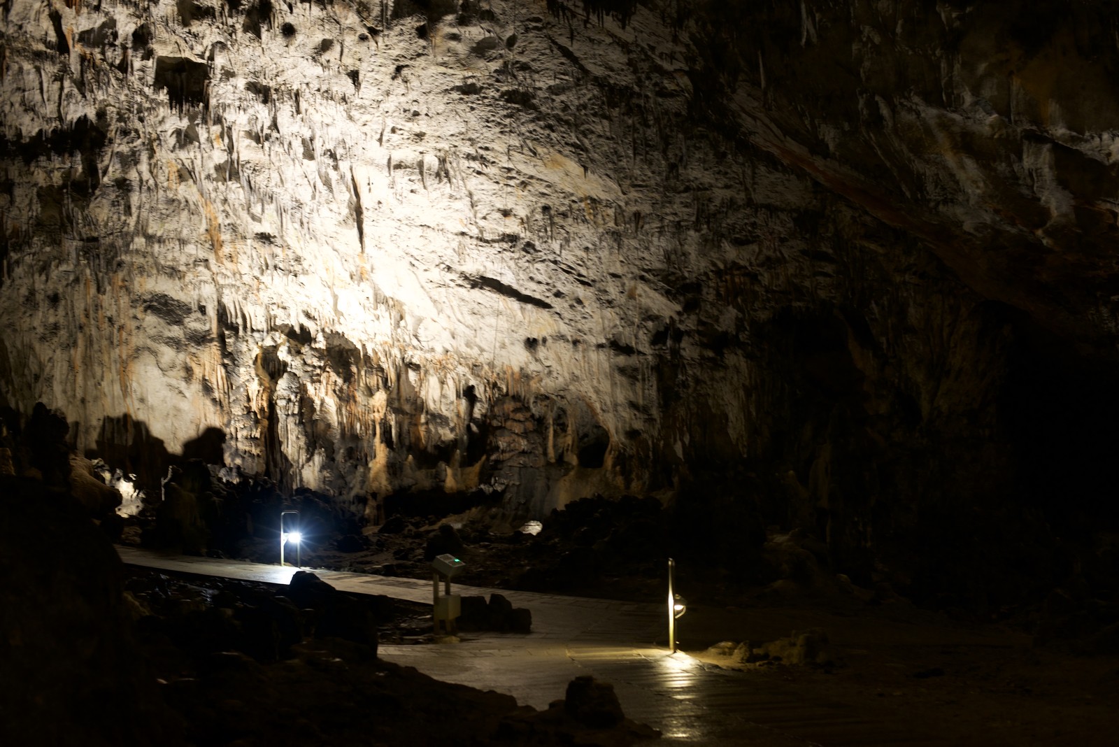 Photo from 2005-06-04T20:02:30.100000