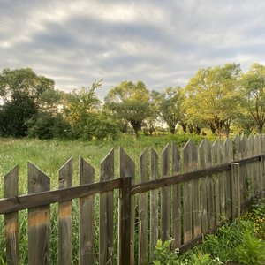 2022 Podgorze thumbnail