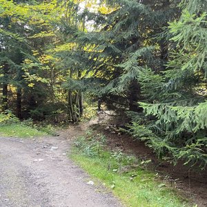 2022 Stolowe thumbnail