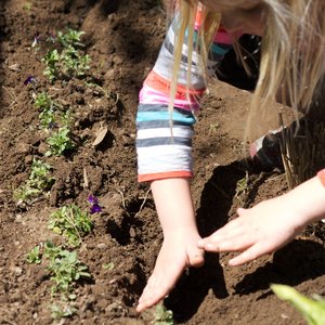 Dzieci-w-ogrodzie thumbnail