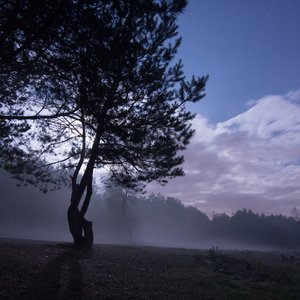 2018-10-21-liwiec thumbnail